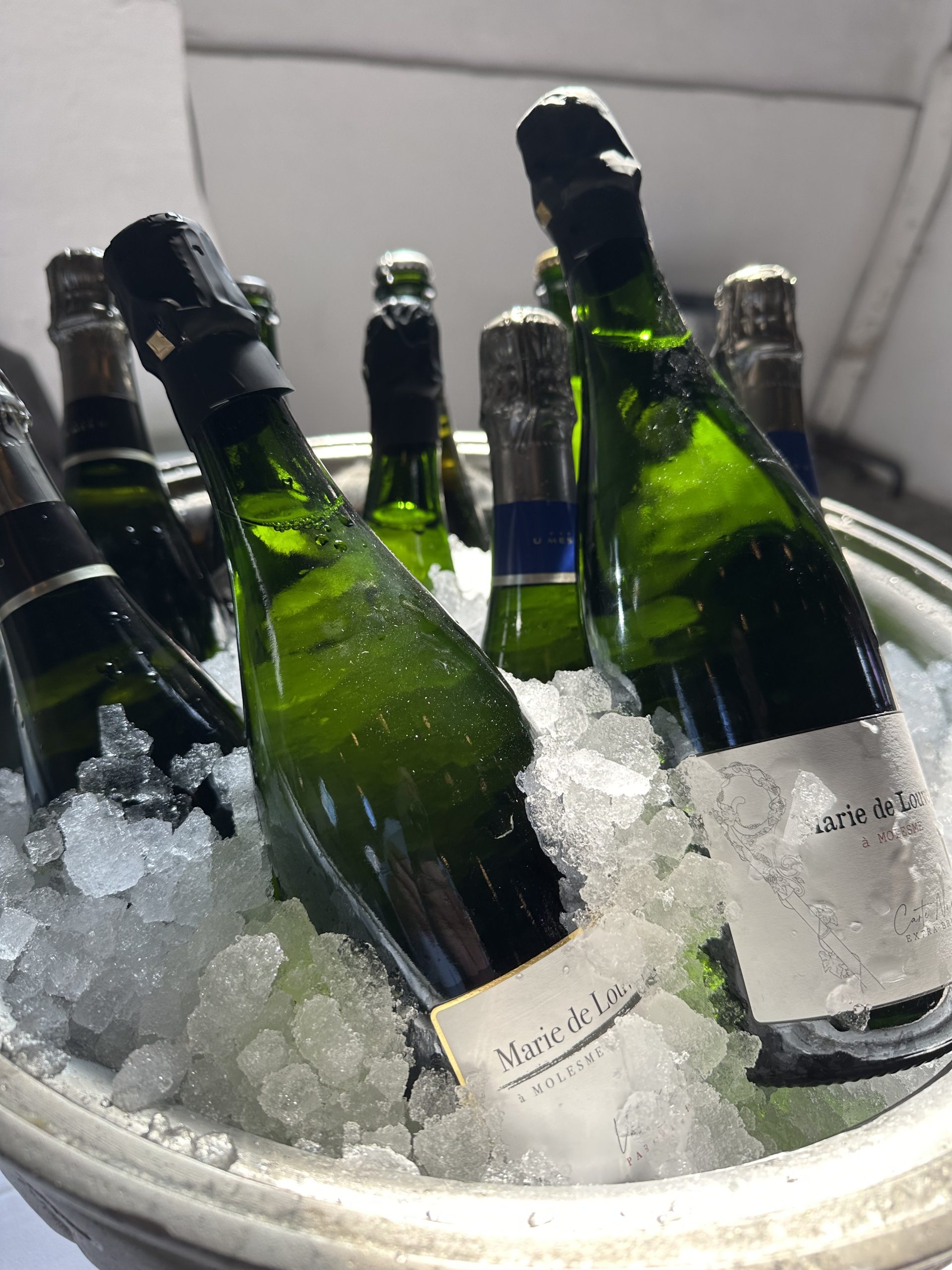 Vinsmagning 13. juni i Bar 105