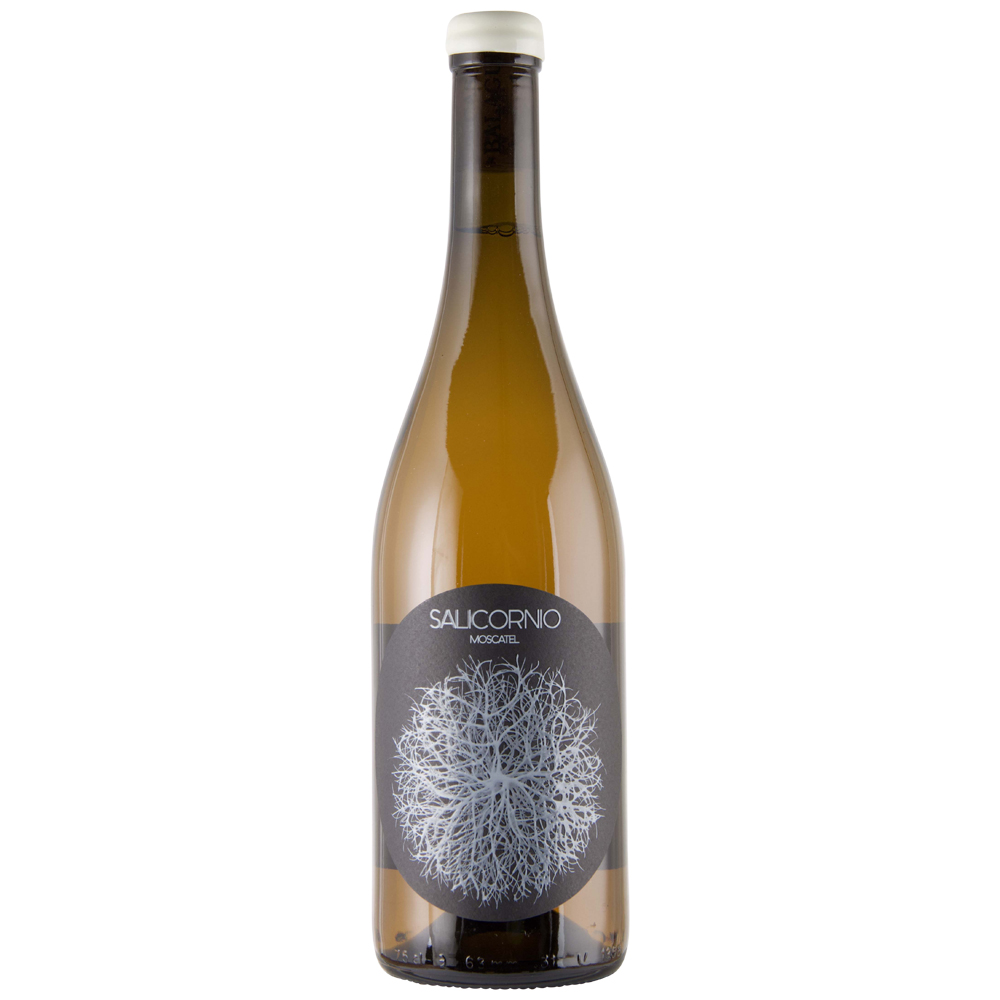 2024 Salicornio Moscatel, Casa Balaguer, Alicante